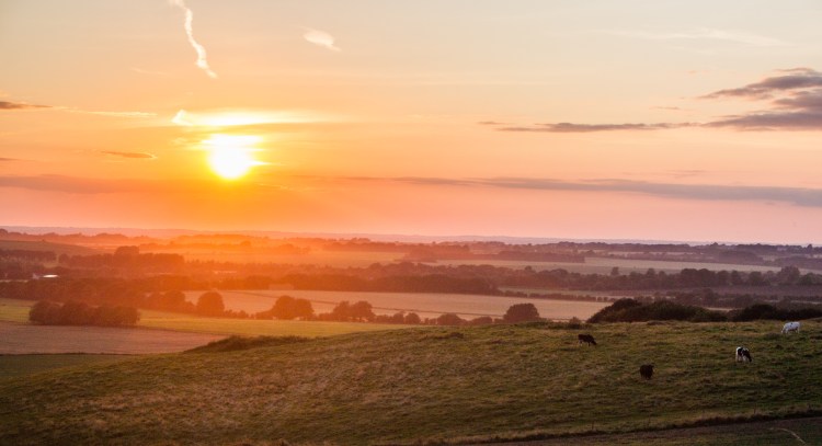 England – King Alfred’s&nbsp;Way