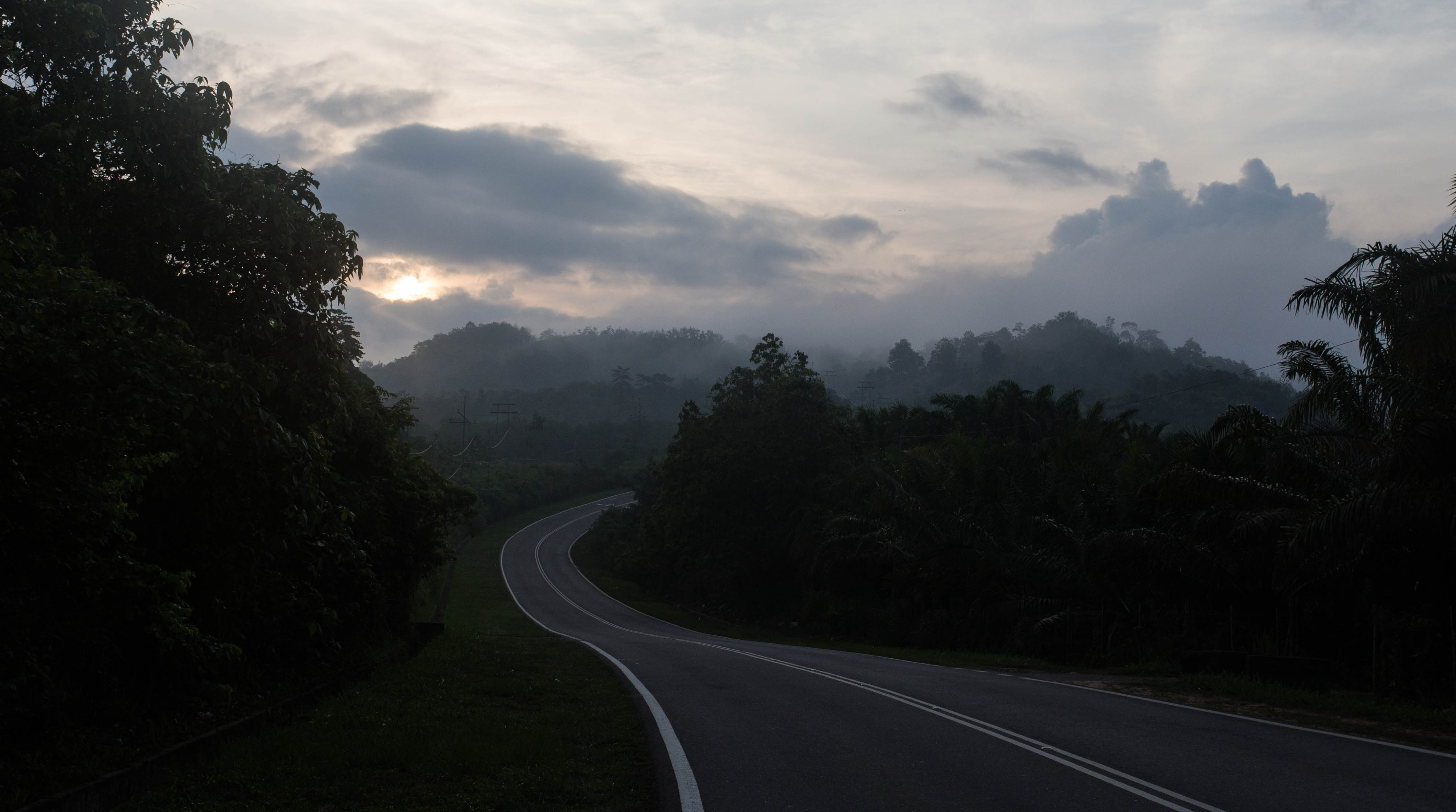 Cycling through the early morning mist and into the proper jungle for our first time in Borneo