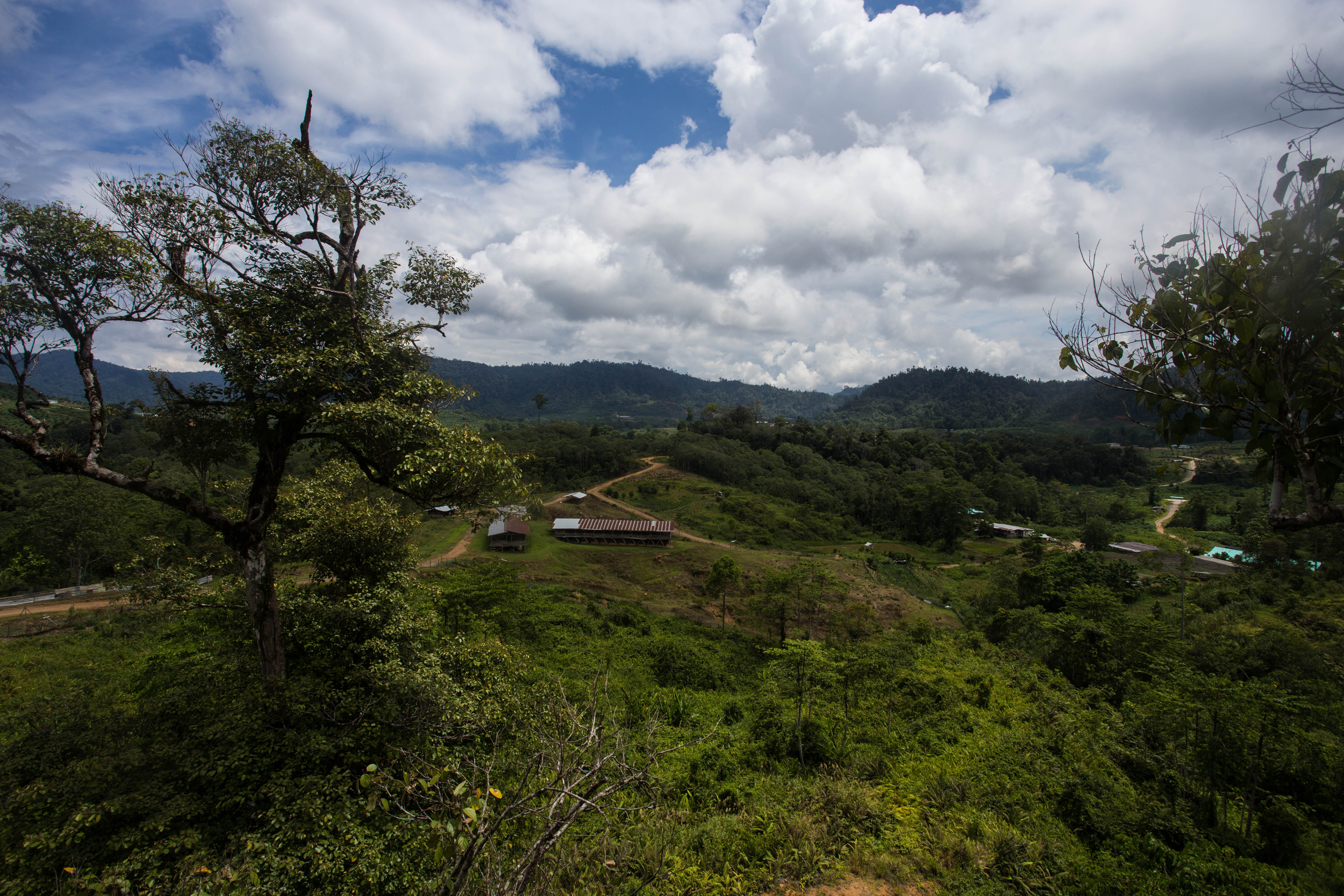 Climbing a tree-house afforded us this view of the organic farm we had spent the night at in this remote jungle region of Borneo
