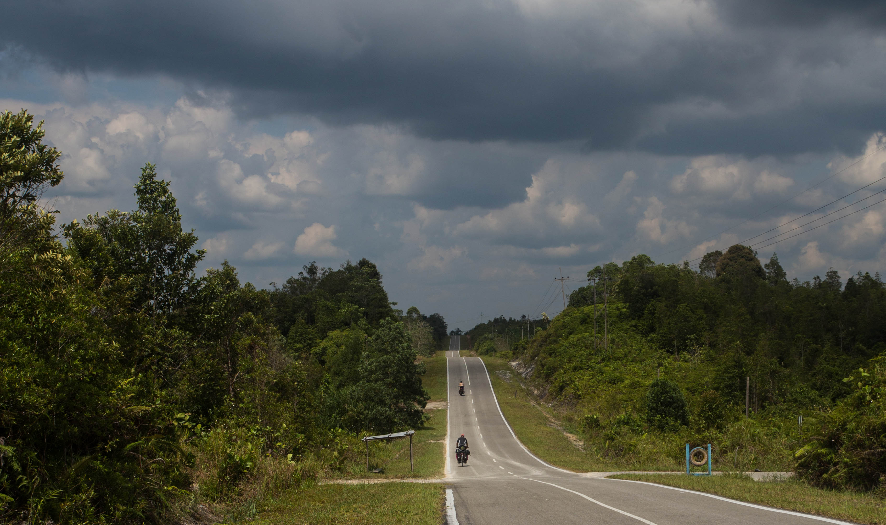 Cutting through the Bornean jungle on a rollercoaster-like road