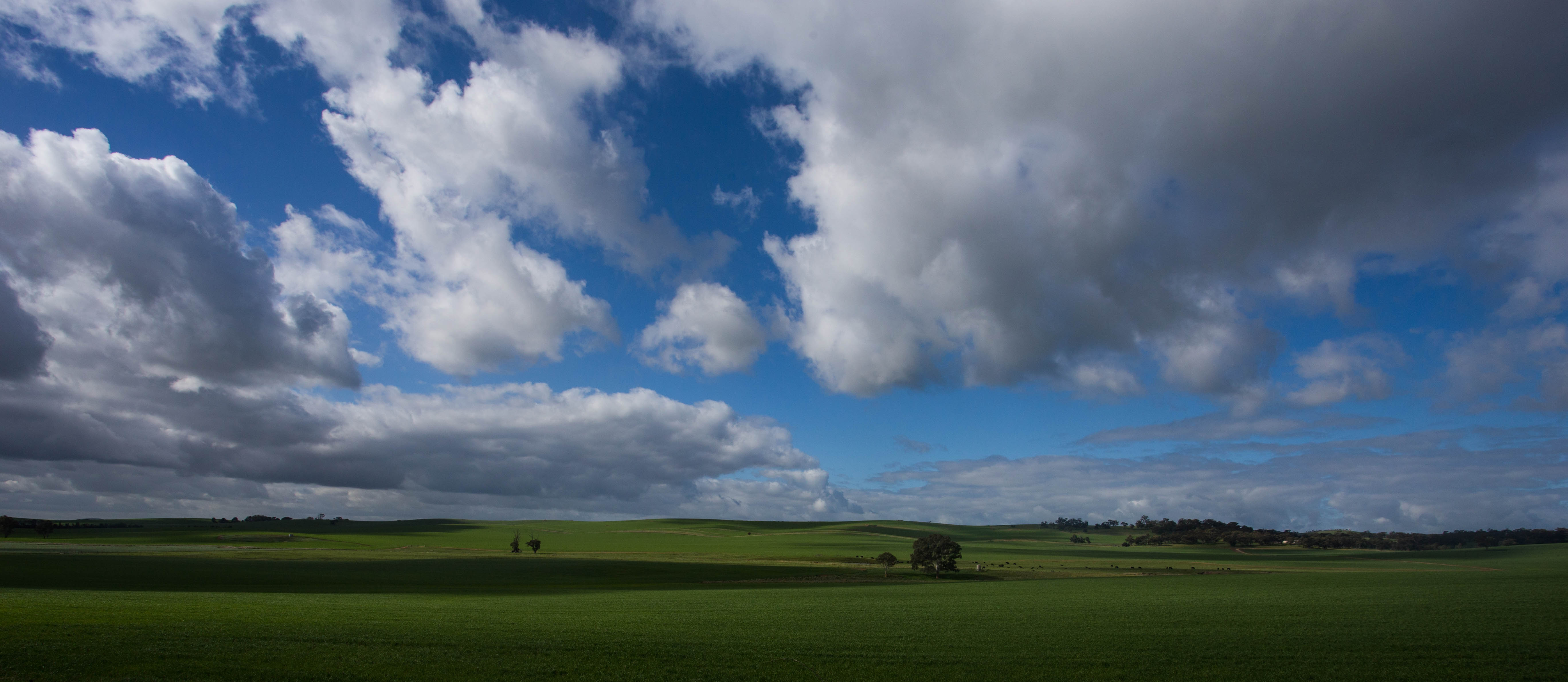 The weather clearing as I traverse the rolling landscape of the Clare Valley one of Australia's most famous wine regions