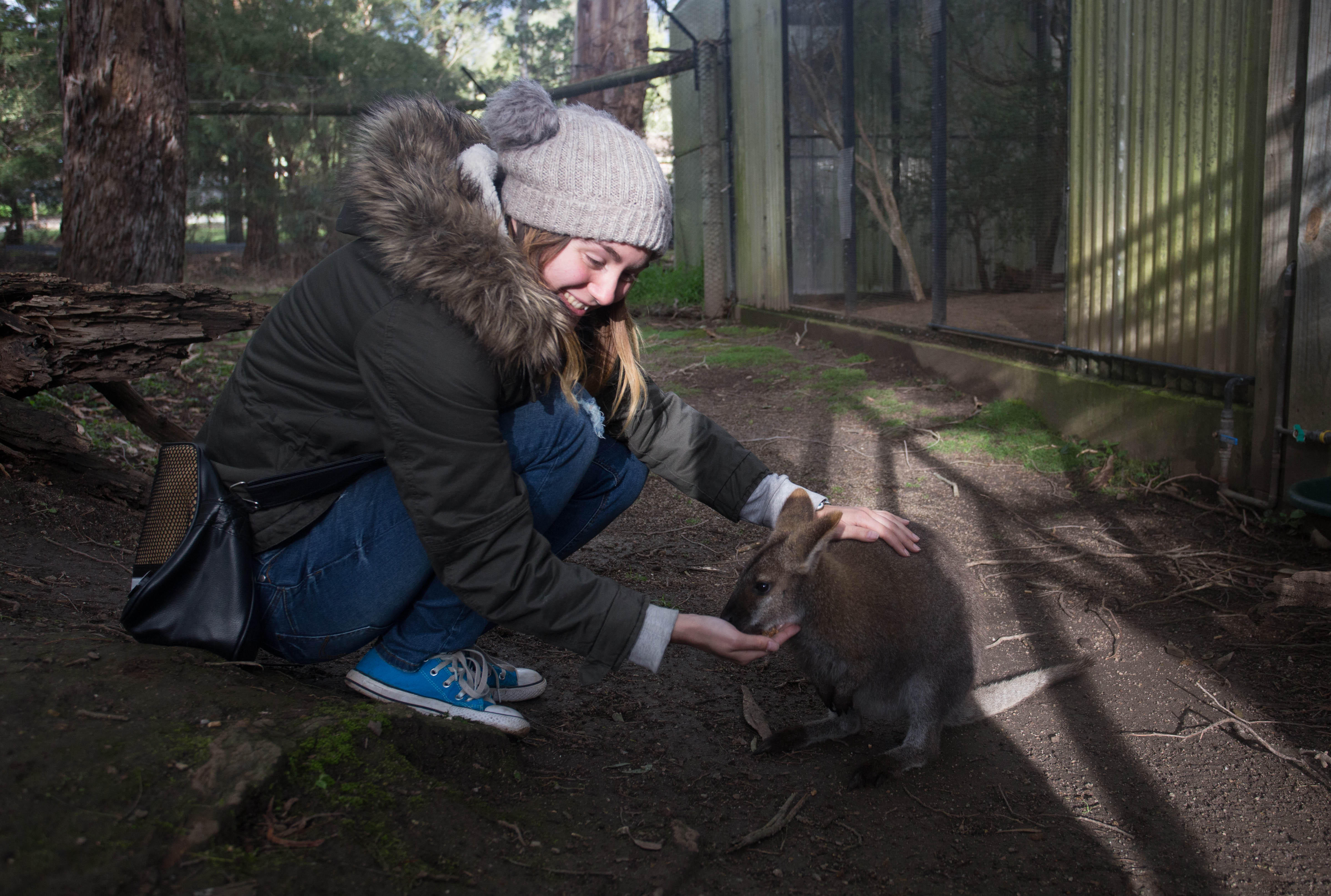 Elana in her element as she feeds one of the cute, little wallabies at the sanctuary