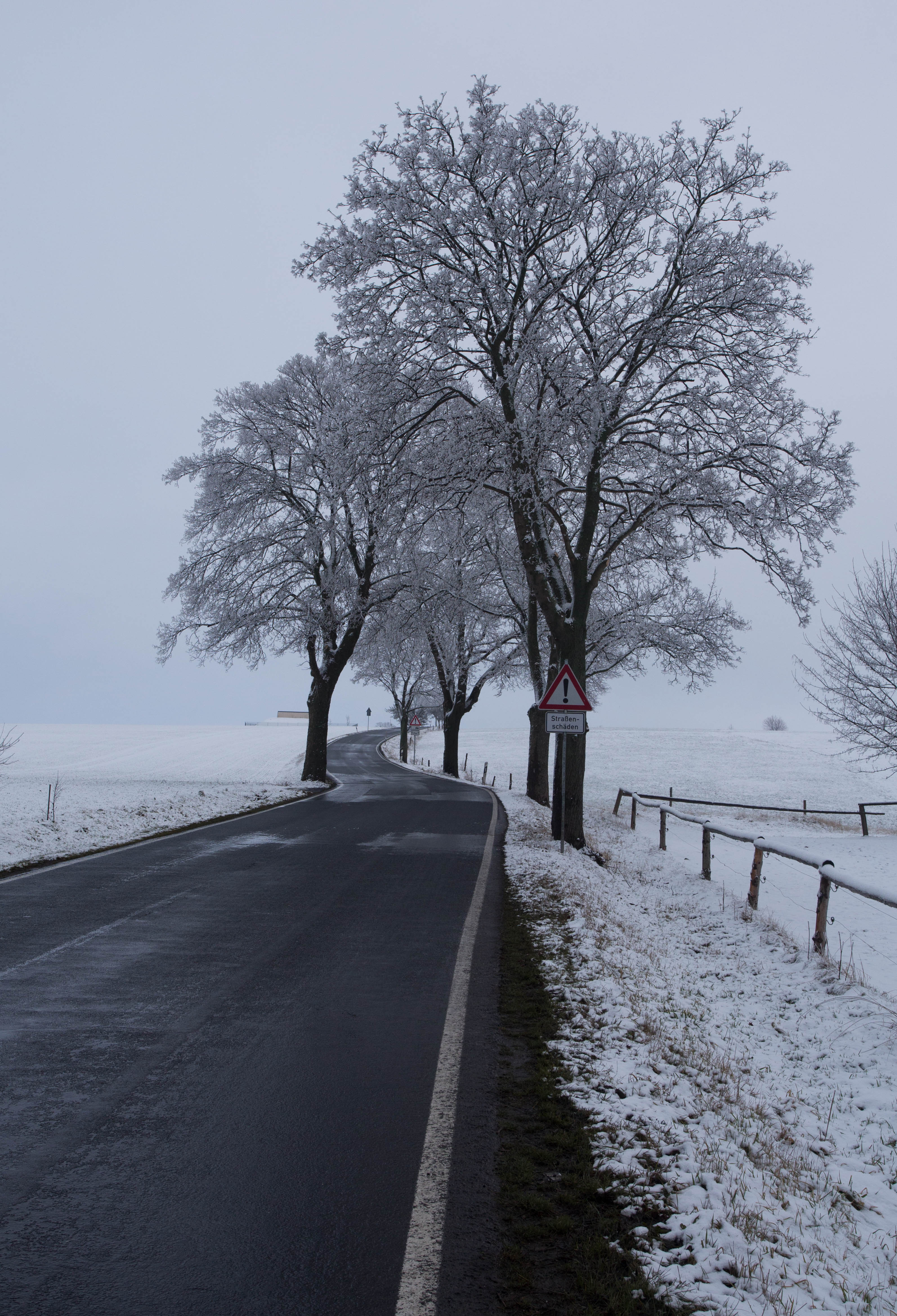 Pedalling through a frozen world in eastern Germany