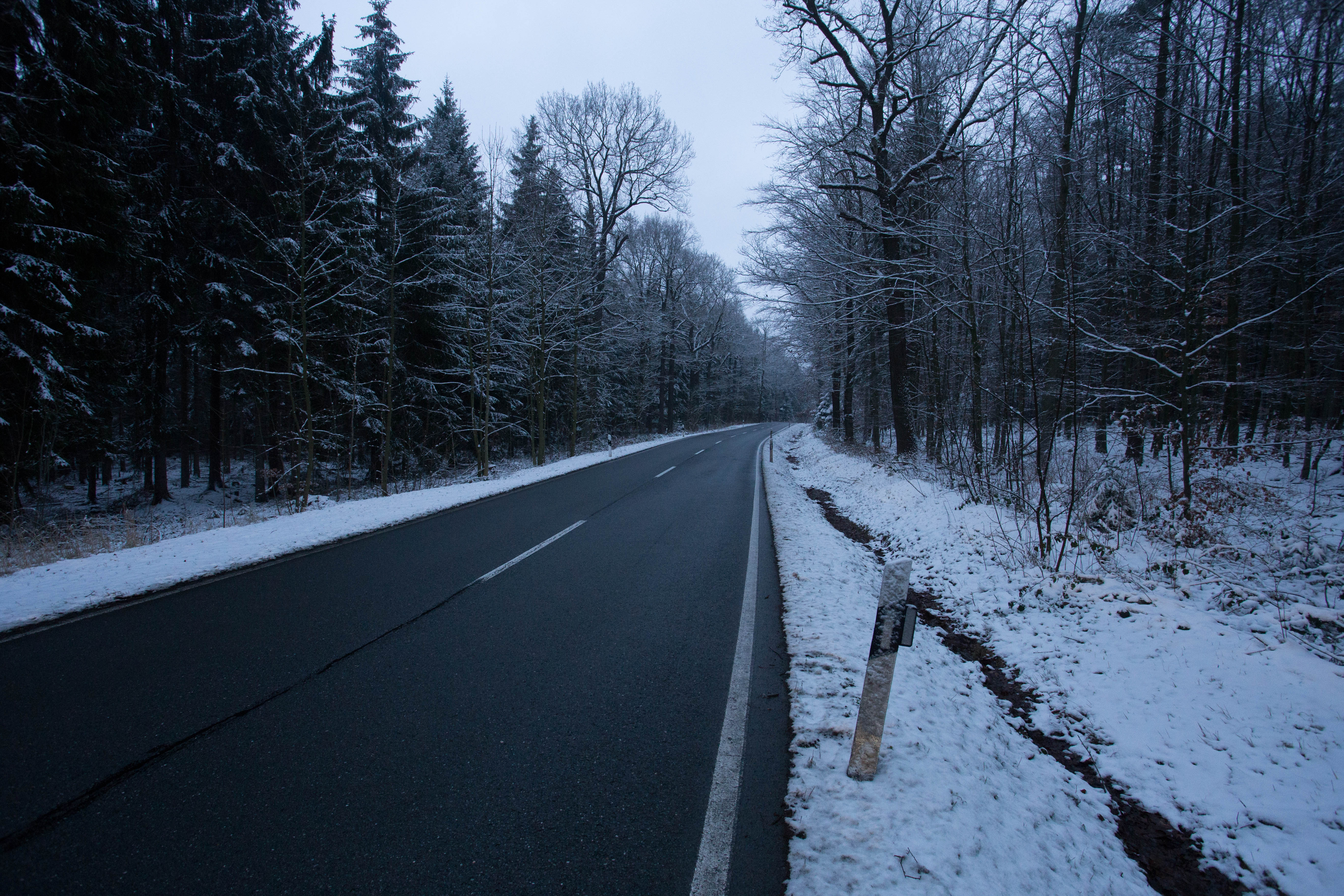 Cycling through more frozen forests as I close in on the Polish border