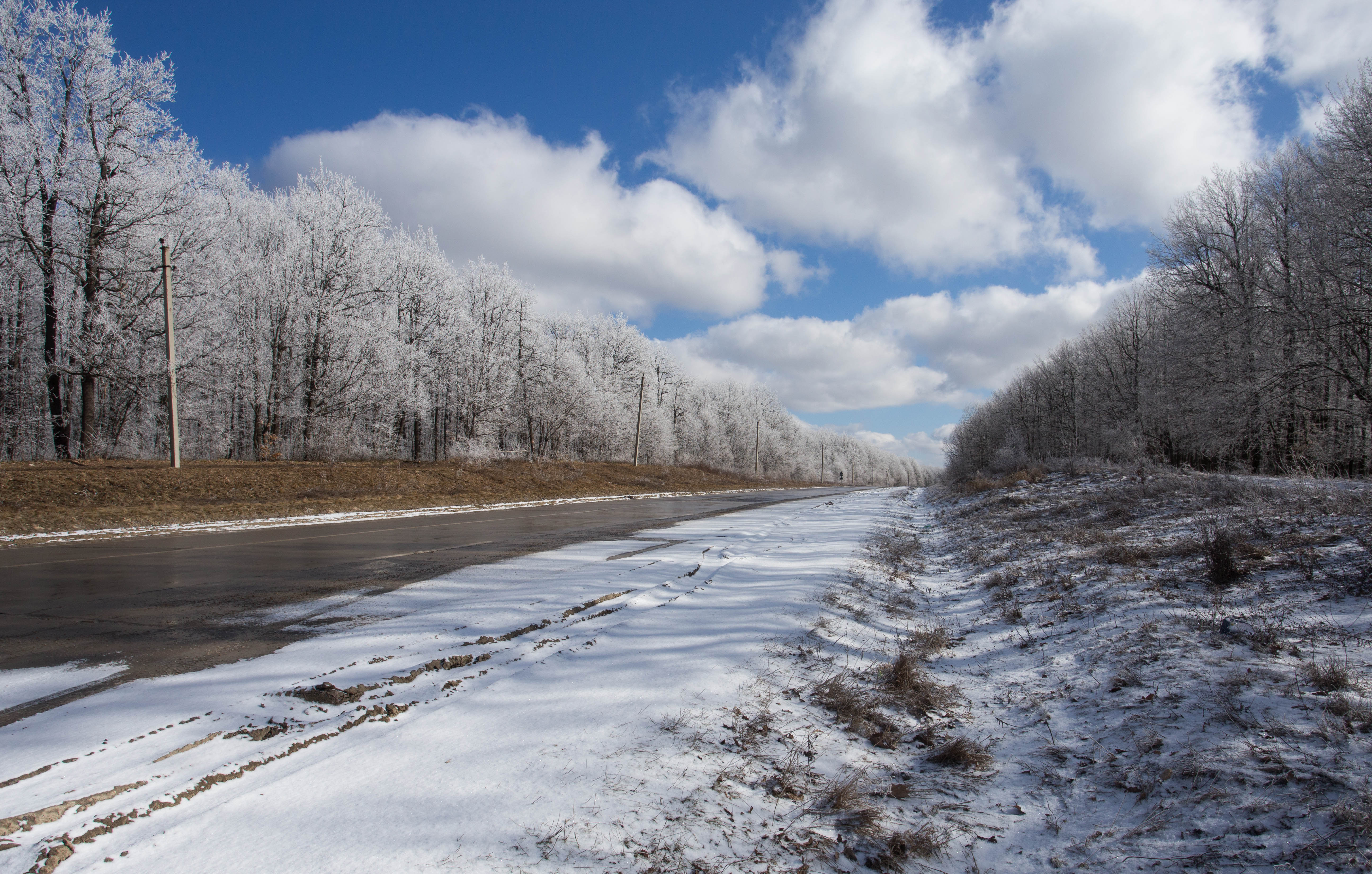 The surreal juxtaposition of colours I was met with as I pushed my bicycle out of the forest