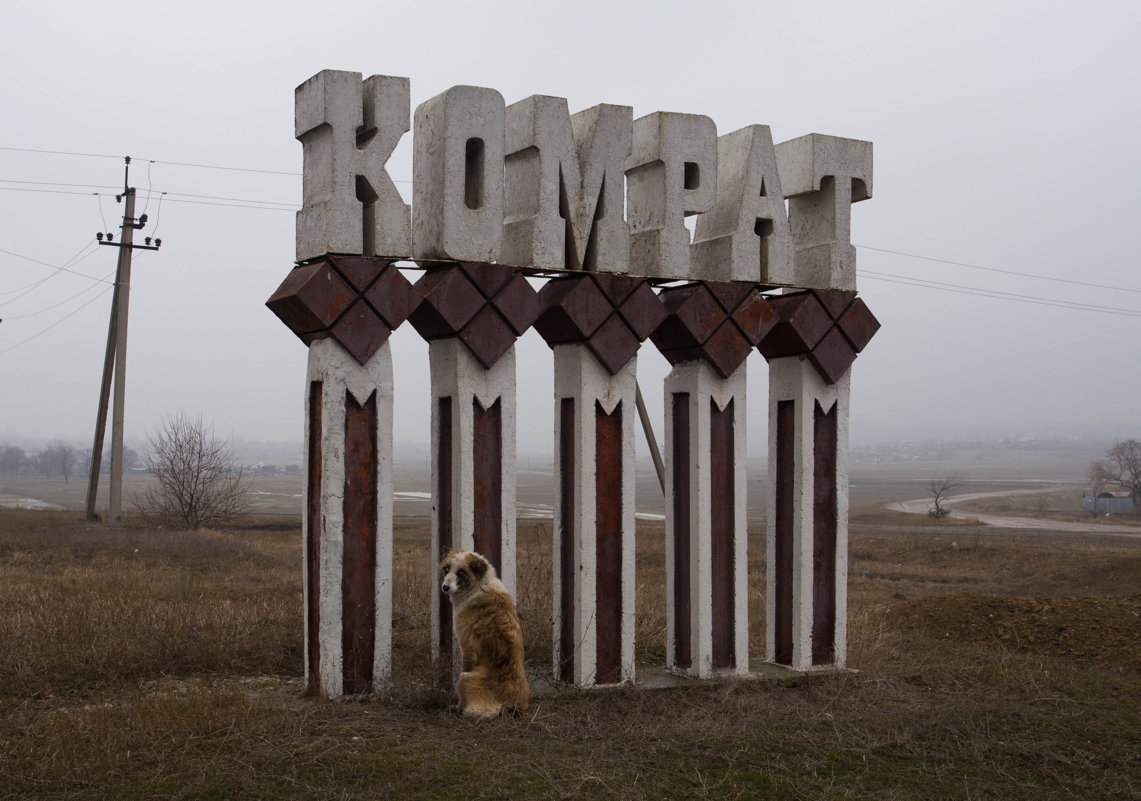 A stray dog sheltering from the cold wind at the town boundary sign for Comrat