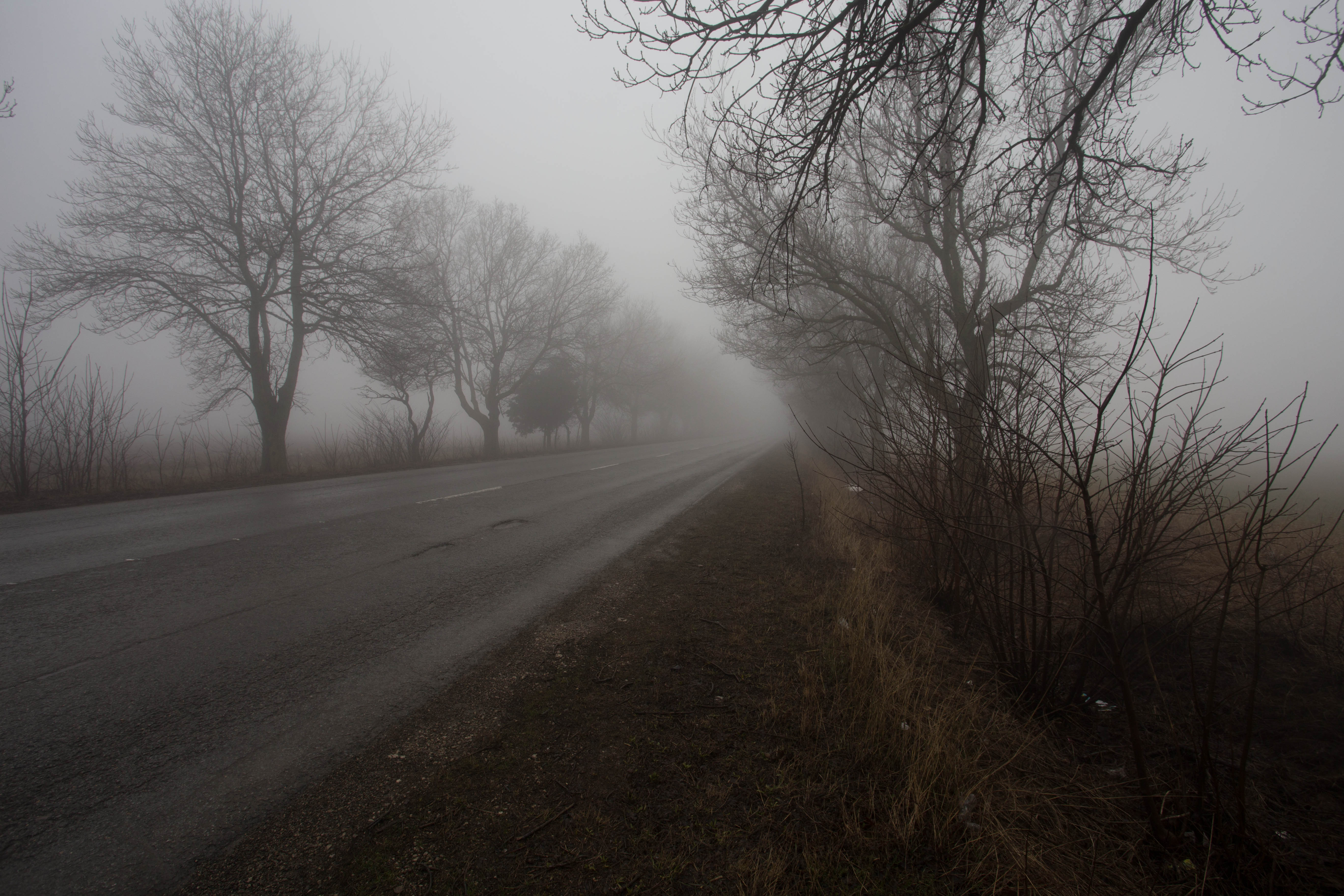Continuing my six kilometre trudge through the muddy verge as the weather worsened even further