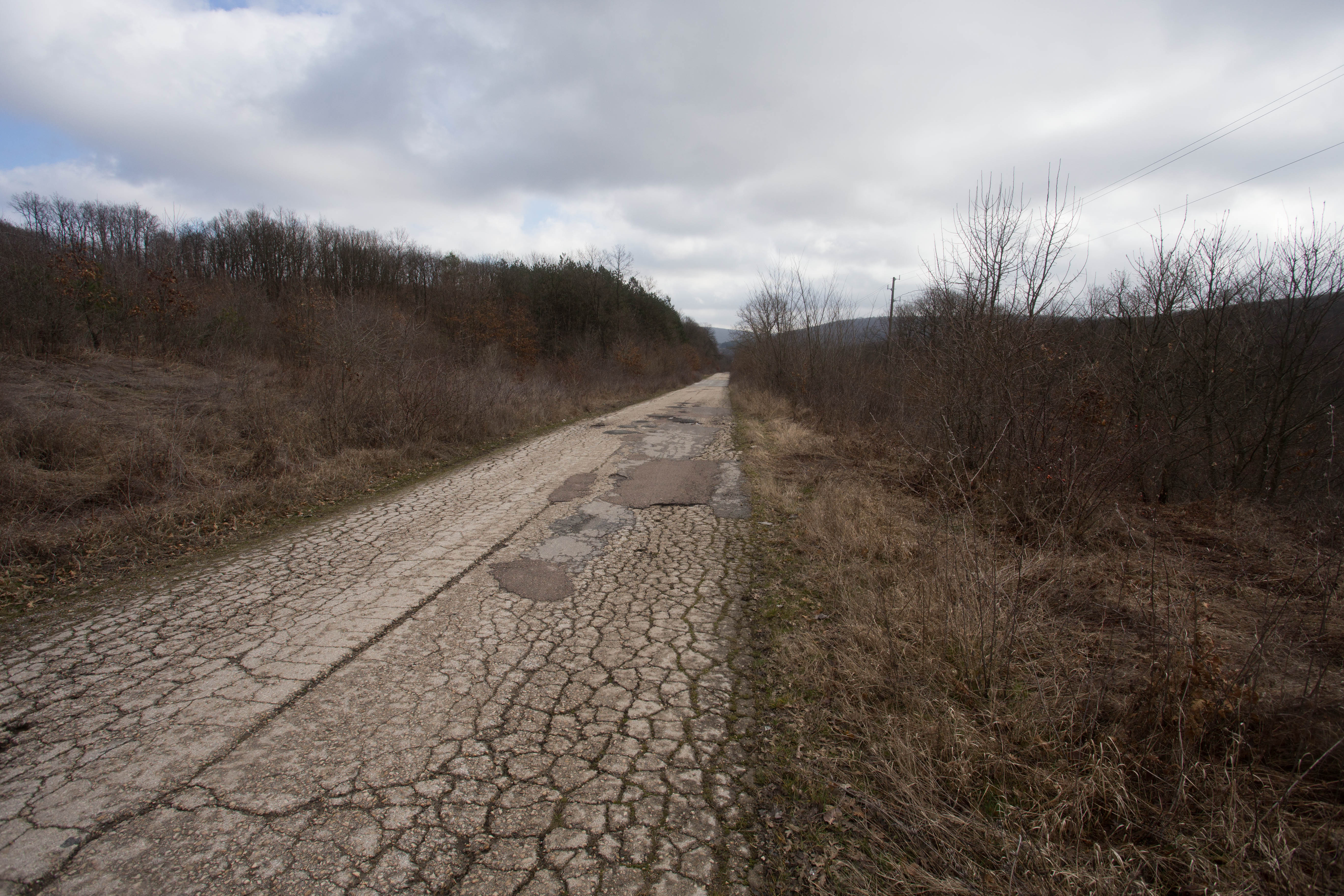 A morning view of the remote woods I had camped in