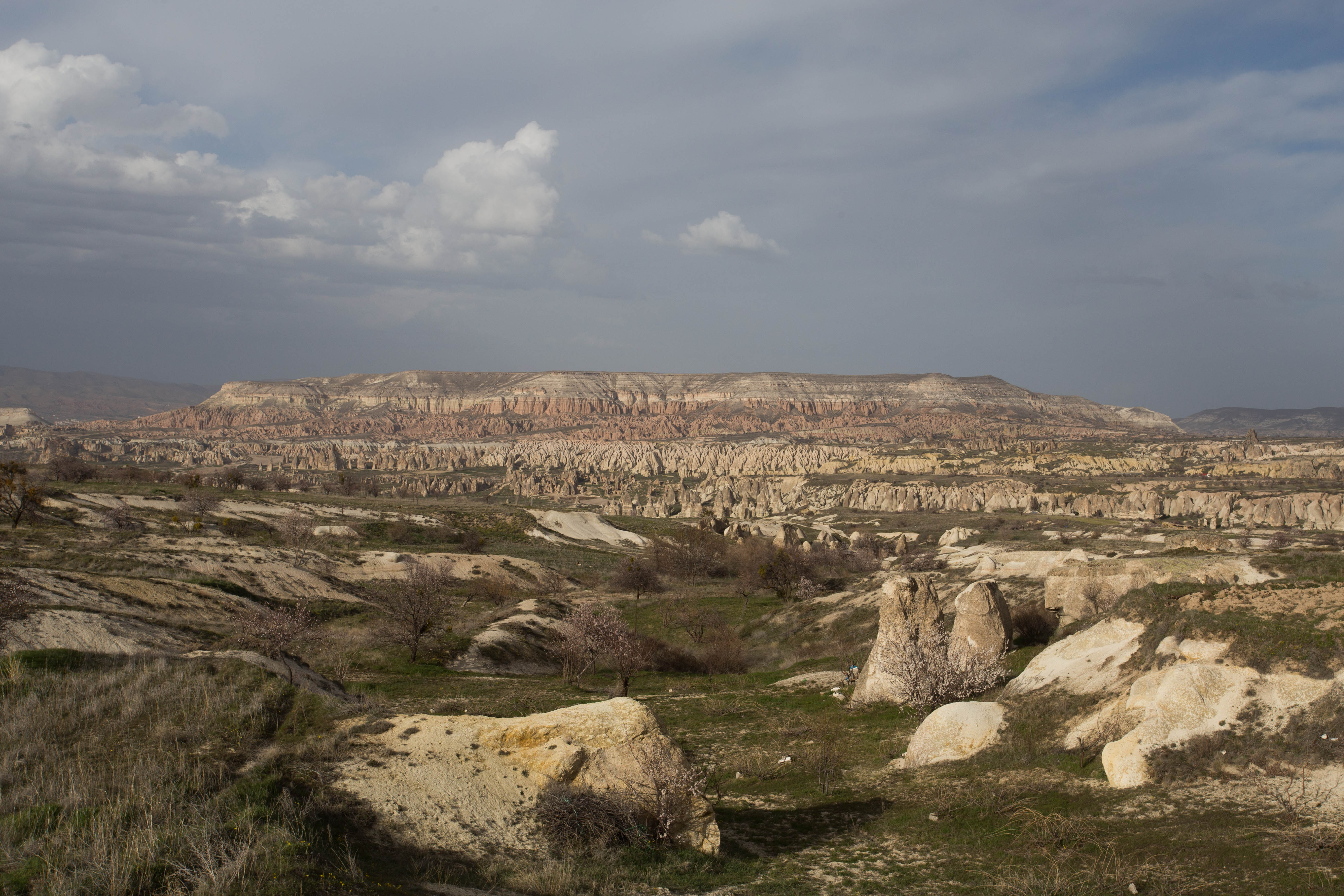 Admiring the unique Cappadocian landscape just before five large wild dogs decided to make their unwelcome appearance
