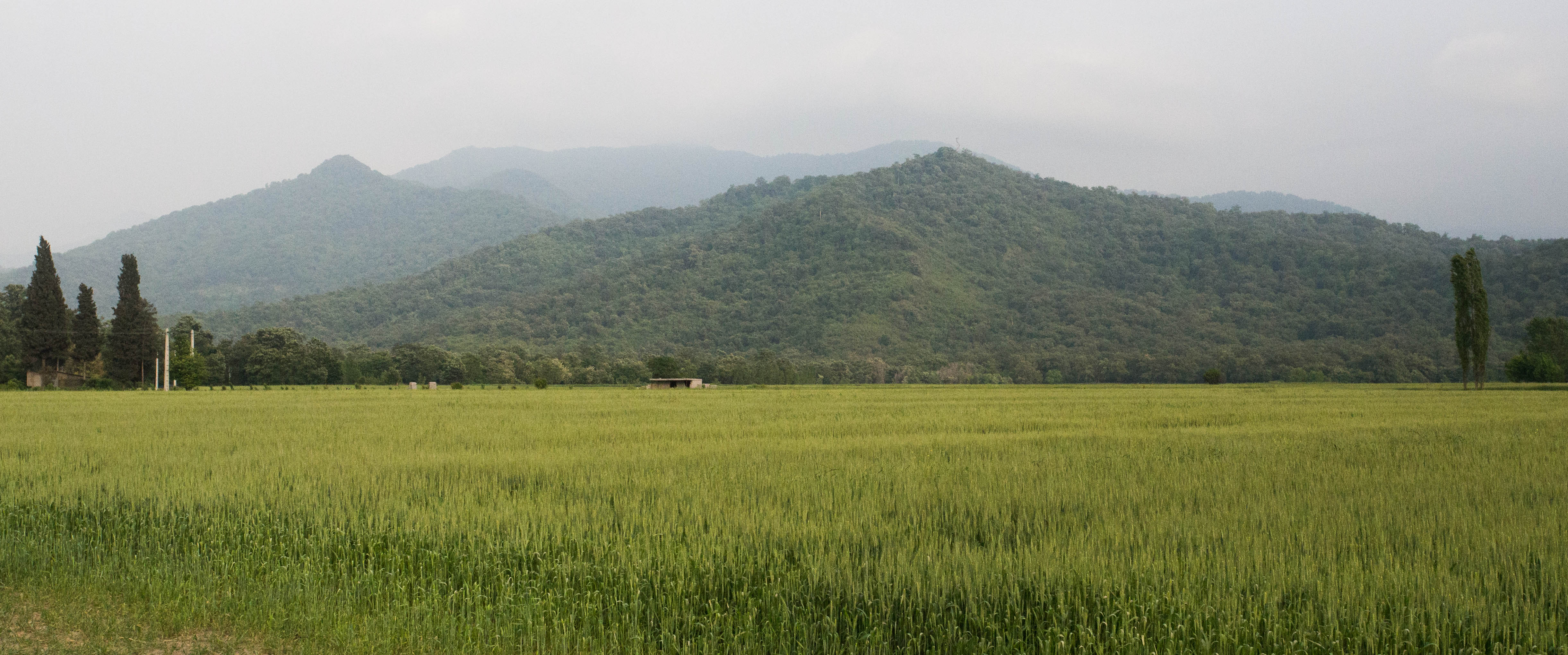 Climbing away from the dry heat of the Caspian into a more lush landscape in north-east Iran