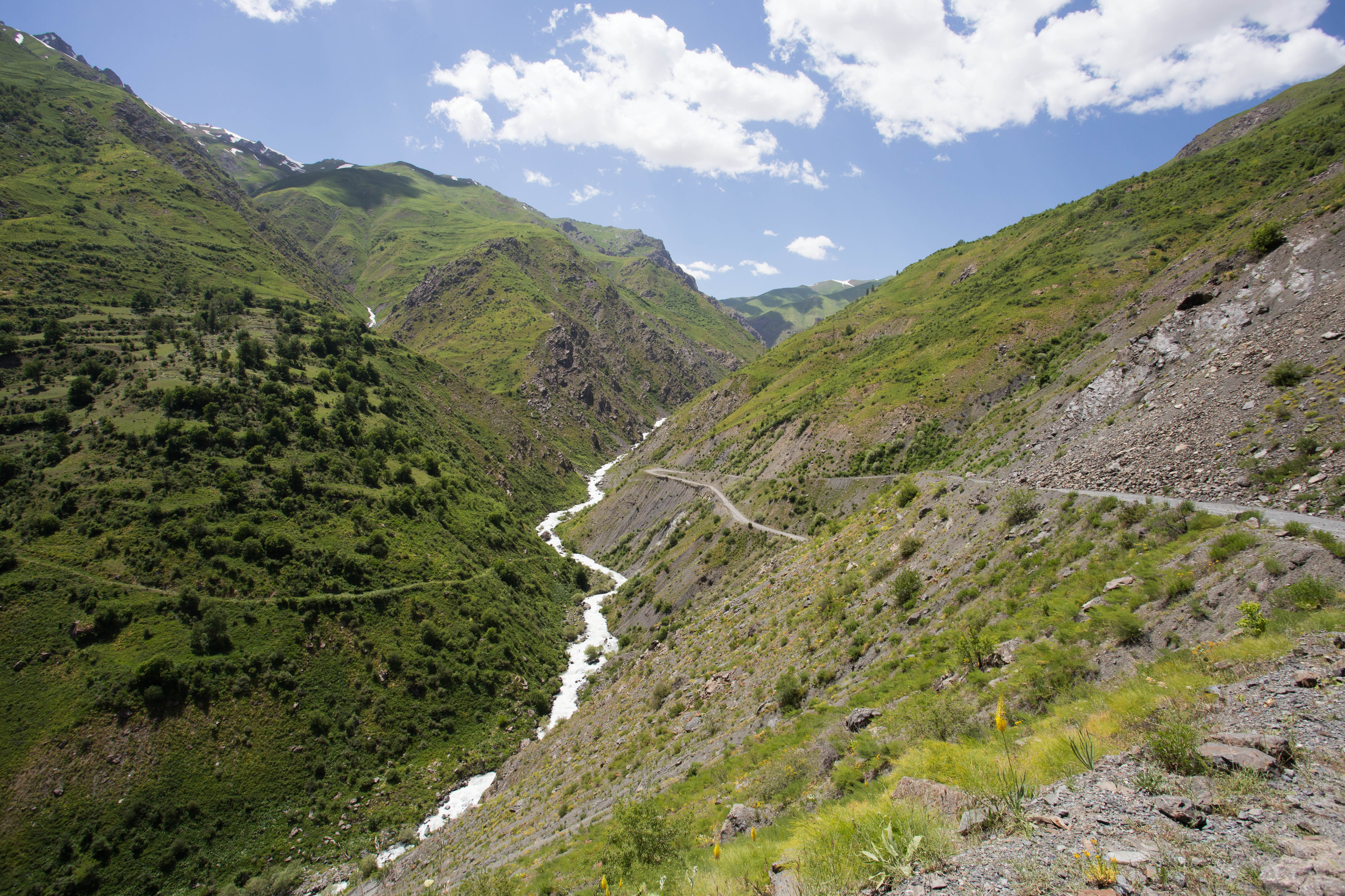 Descending into a more lush landscape on the far side of the Saghirdasht Pass