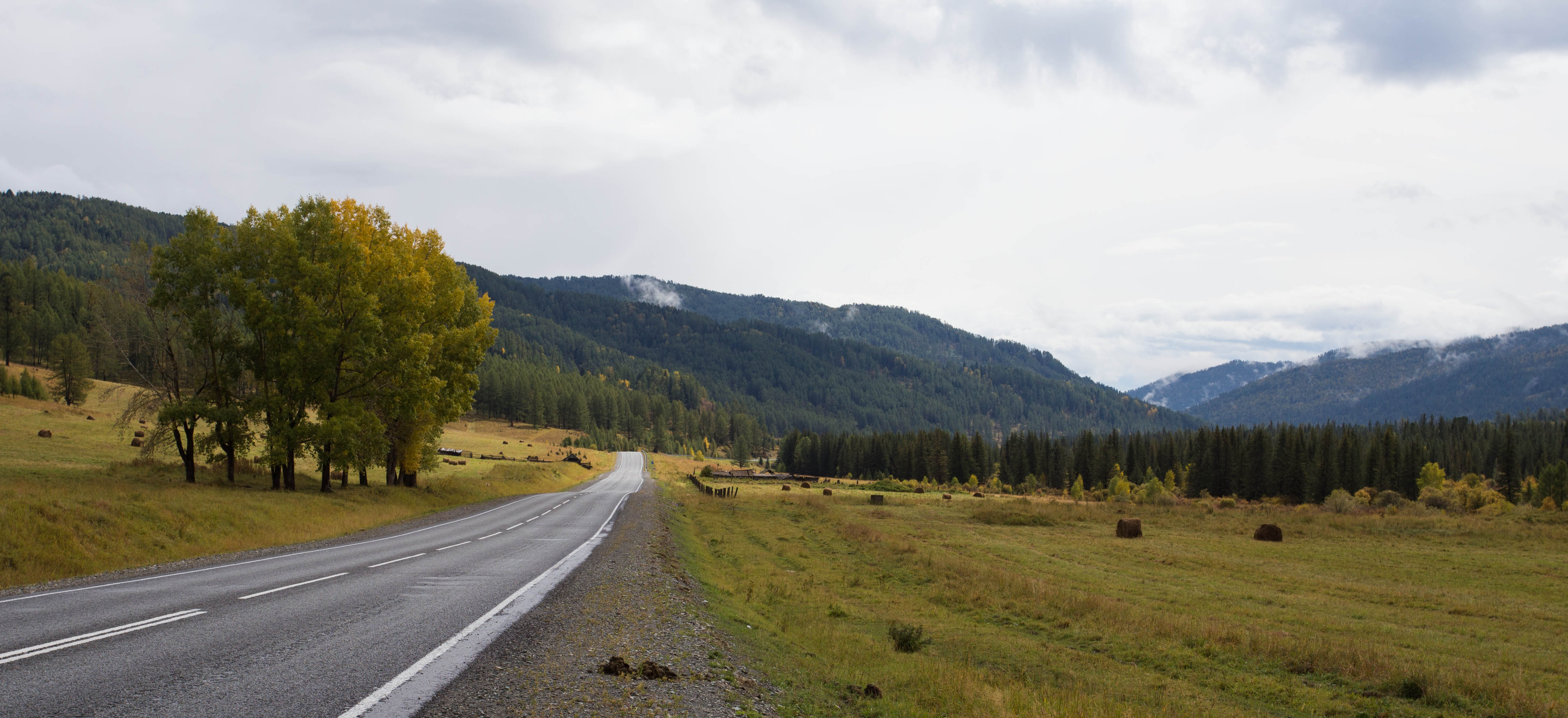 The beautiful autumn scenery surrounding me as I climbed higher into the thick forests of the Altai