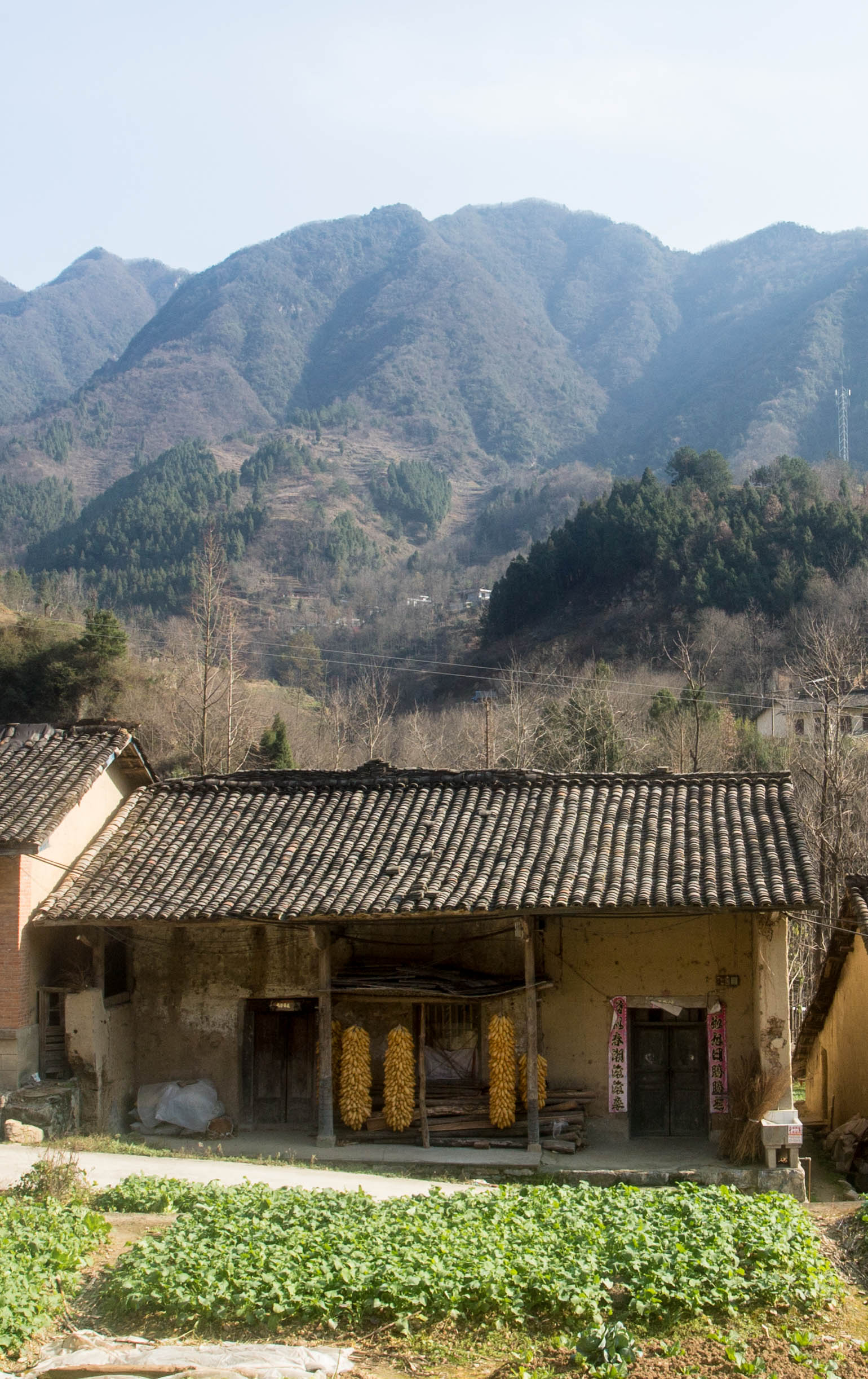 A typical village dwelling in this rural part of China