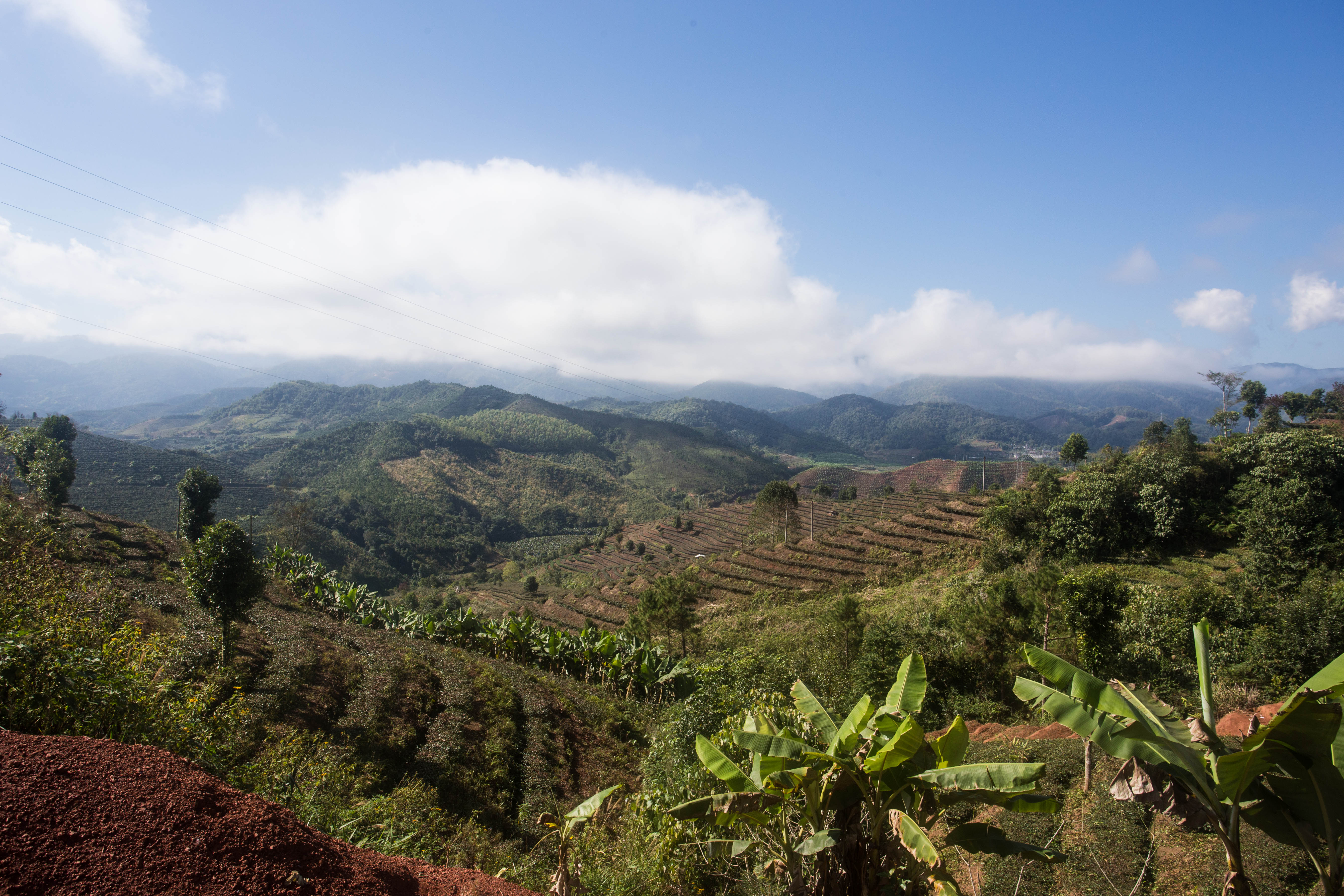 Truly arriving into the tropics and its wonderfully colourful scenery in Yunnan Province