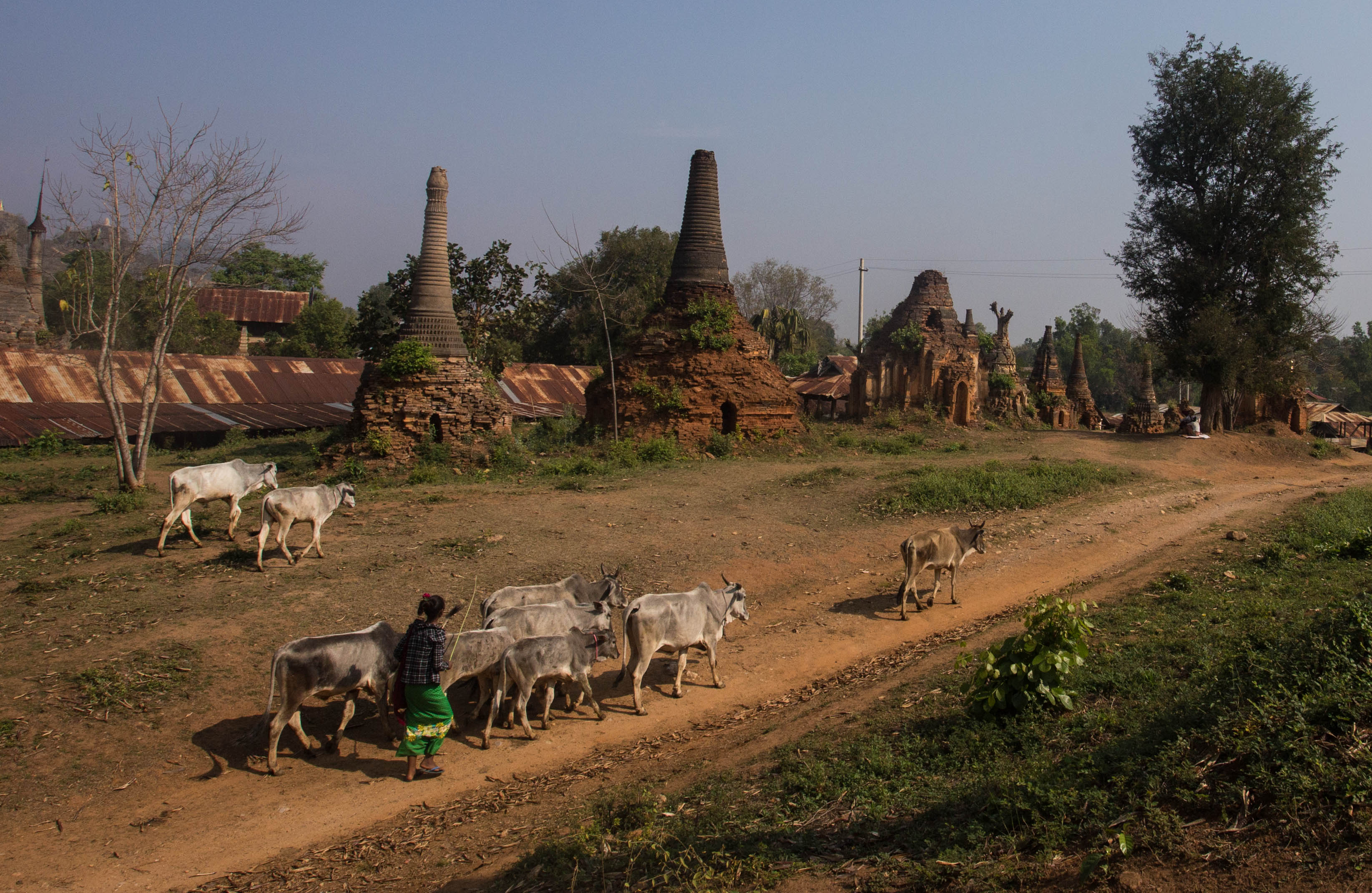Modern life continuing amongst more ancient Buddhist ruins on the shore of Inle Lake