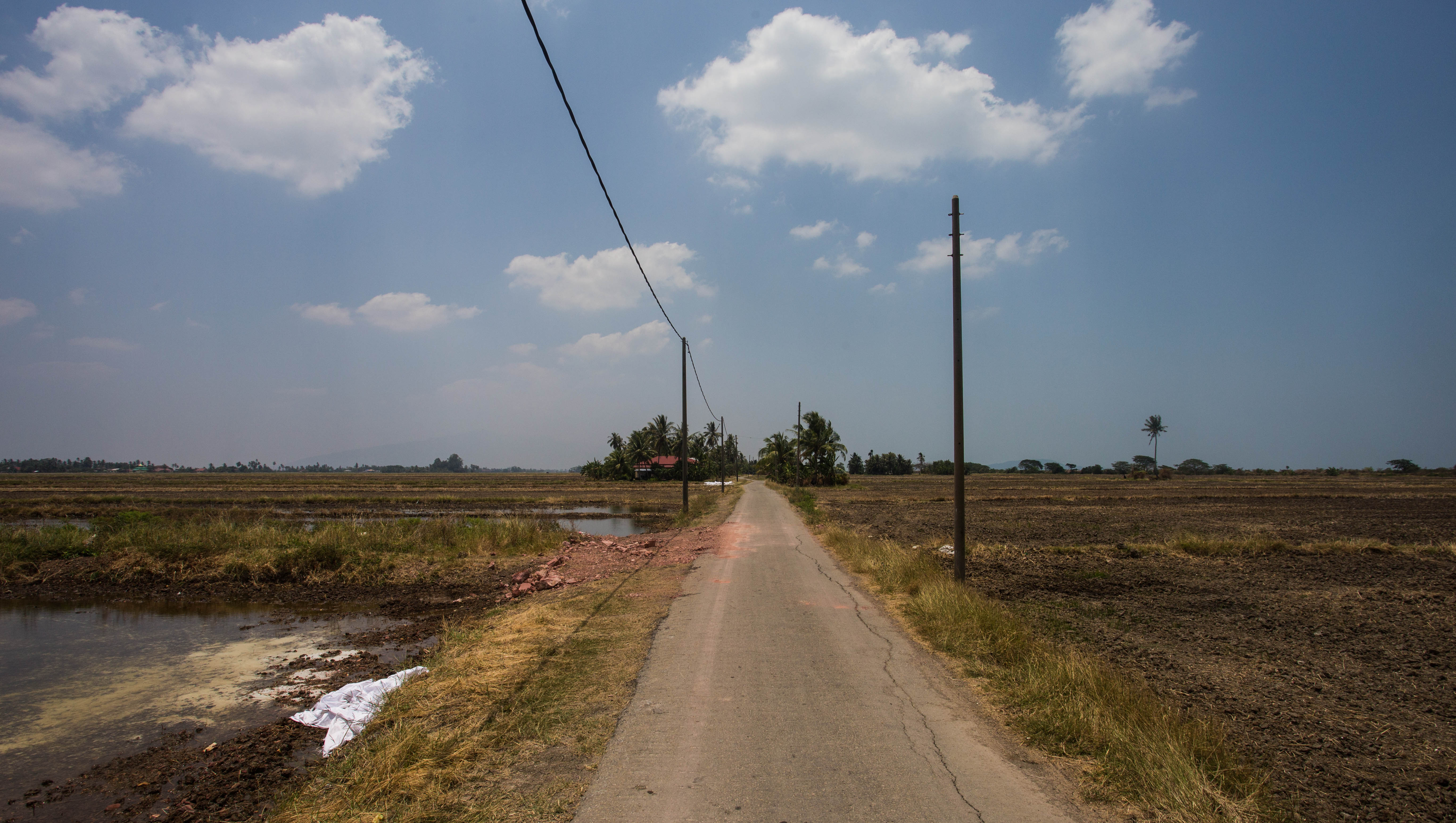 The quiet roads across the marshes of eastern Malaysia