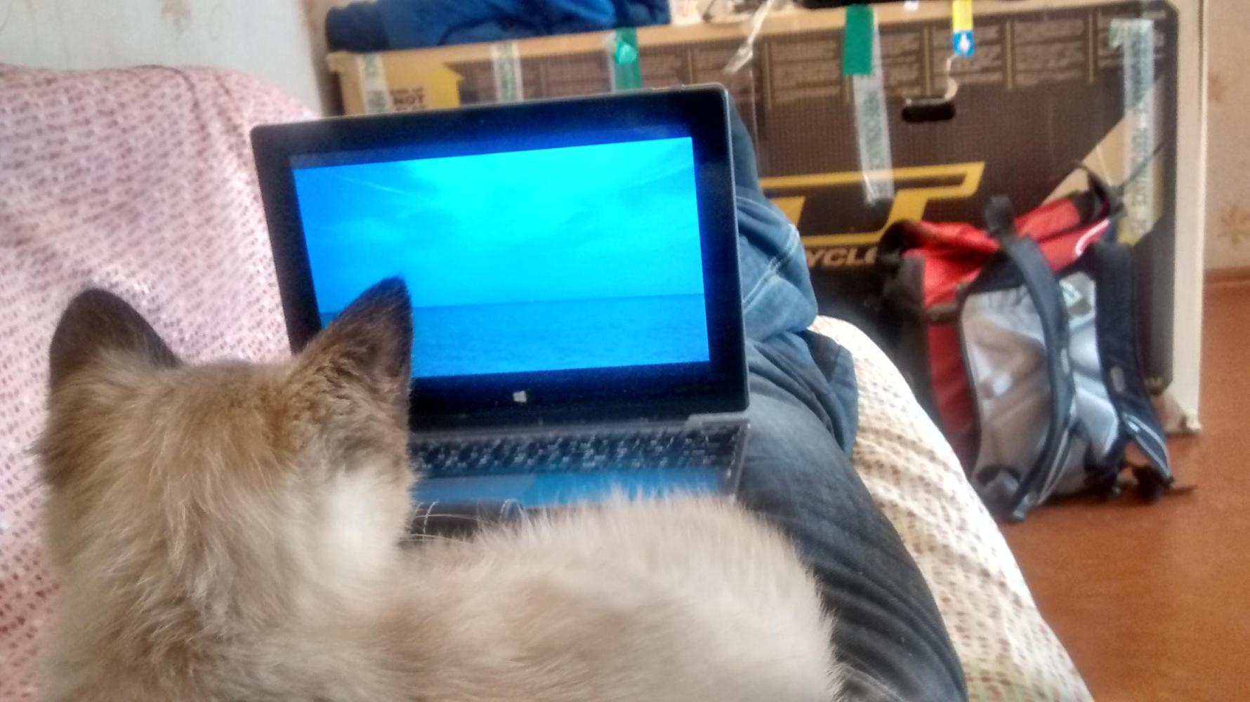 Pyo liked to watch Brooklyn Nine-Nine with me